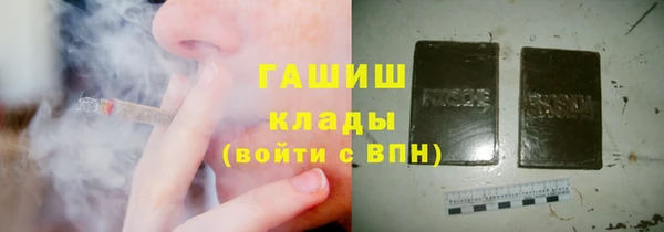 СК Алексин