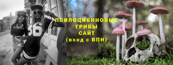 СК Алексин