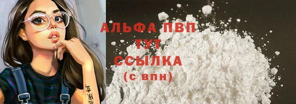 СК Алексин